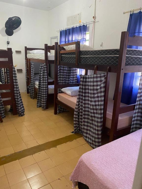 Single Bed Mixed Dormitory Room